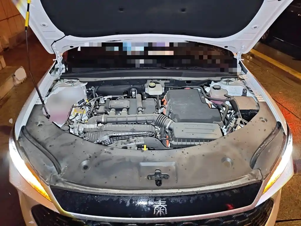 BYD Qin PLUS — фото 16