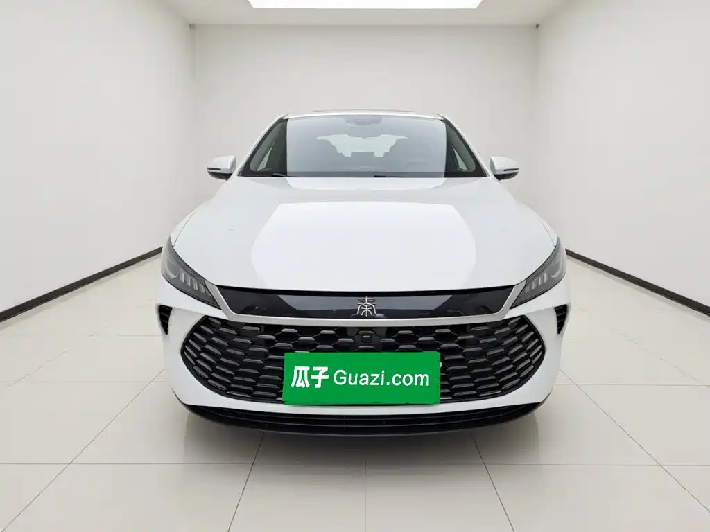 BYD Qin PLUS — фото 2