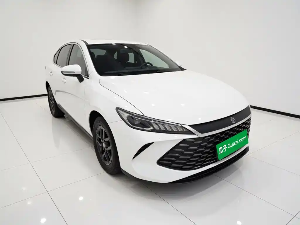 BYD Qin PLUS — фото 3