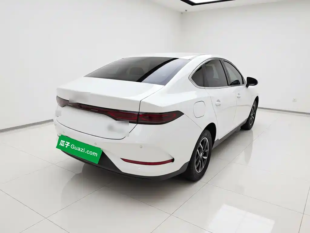 BYD Qin PLUS — фото 6