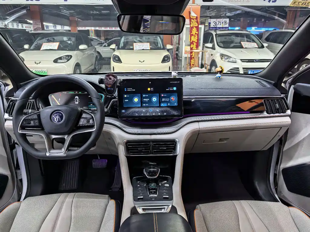 BYD PLUS New Energy — фото 8