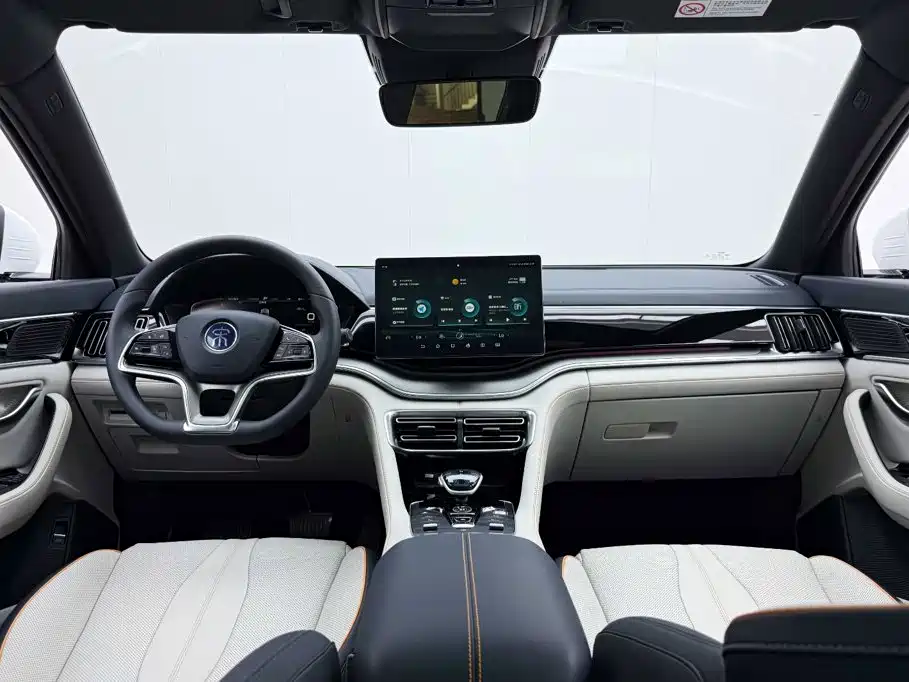 BYD PLUS New Energy — фото 11