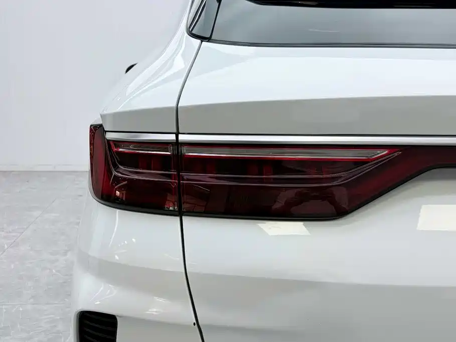 BYD PLUS New Energy — фото 15