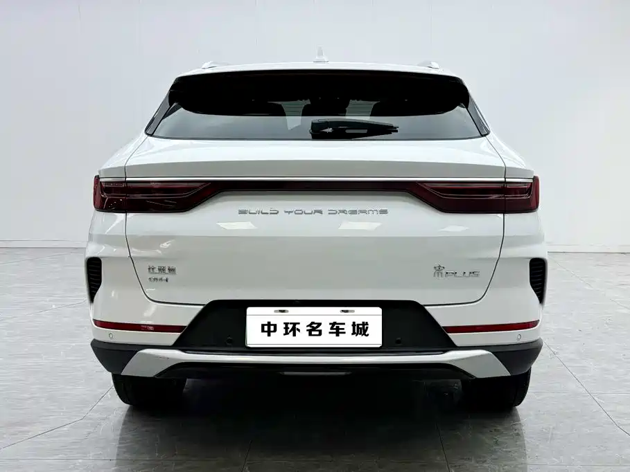 BYD PLUS New Energy — фото 16
