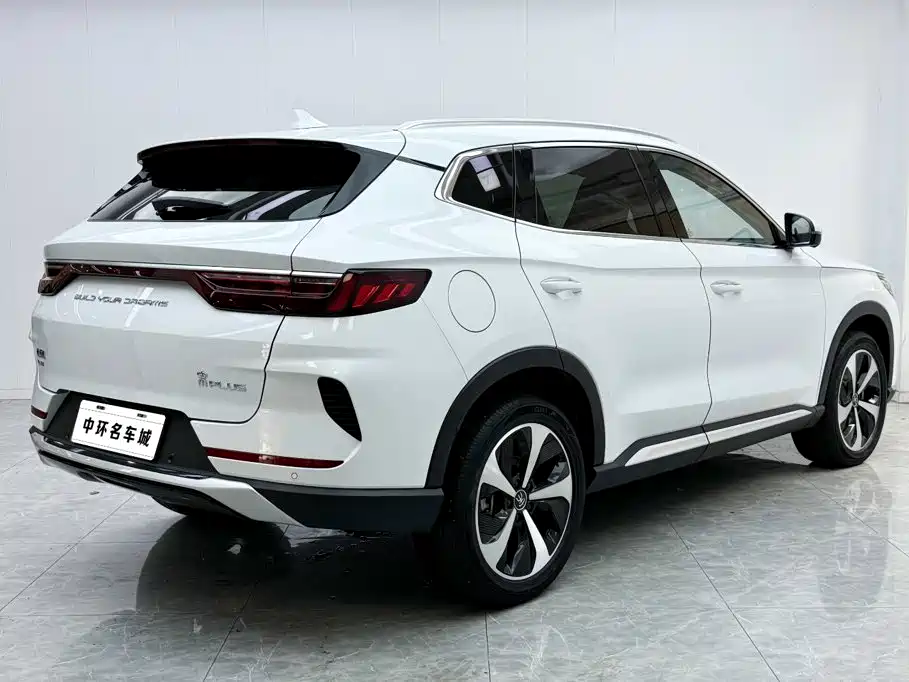 BYD PLUS New Energy — фото 17