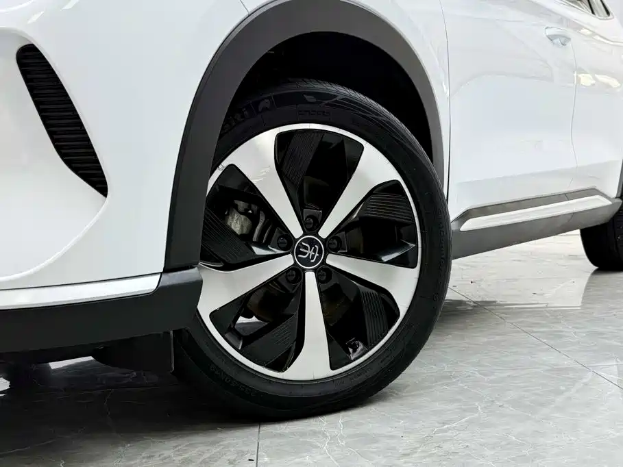BYD PLUS New Energy — фото 3