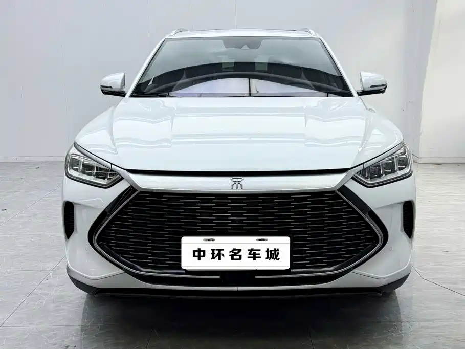BYD PLUS New Energy — фото 4