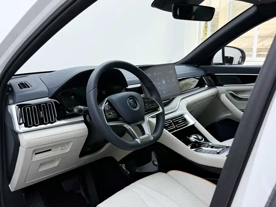 BYD PLUS New Energy — фото 6