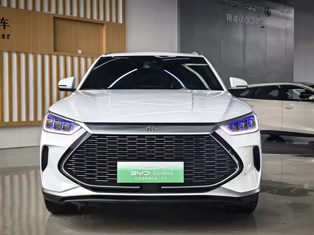 BYD PLUS New Energy — фото 2