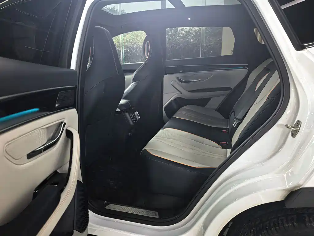 BYD PLUS New Energy — фото 11