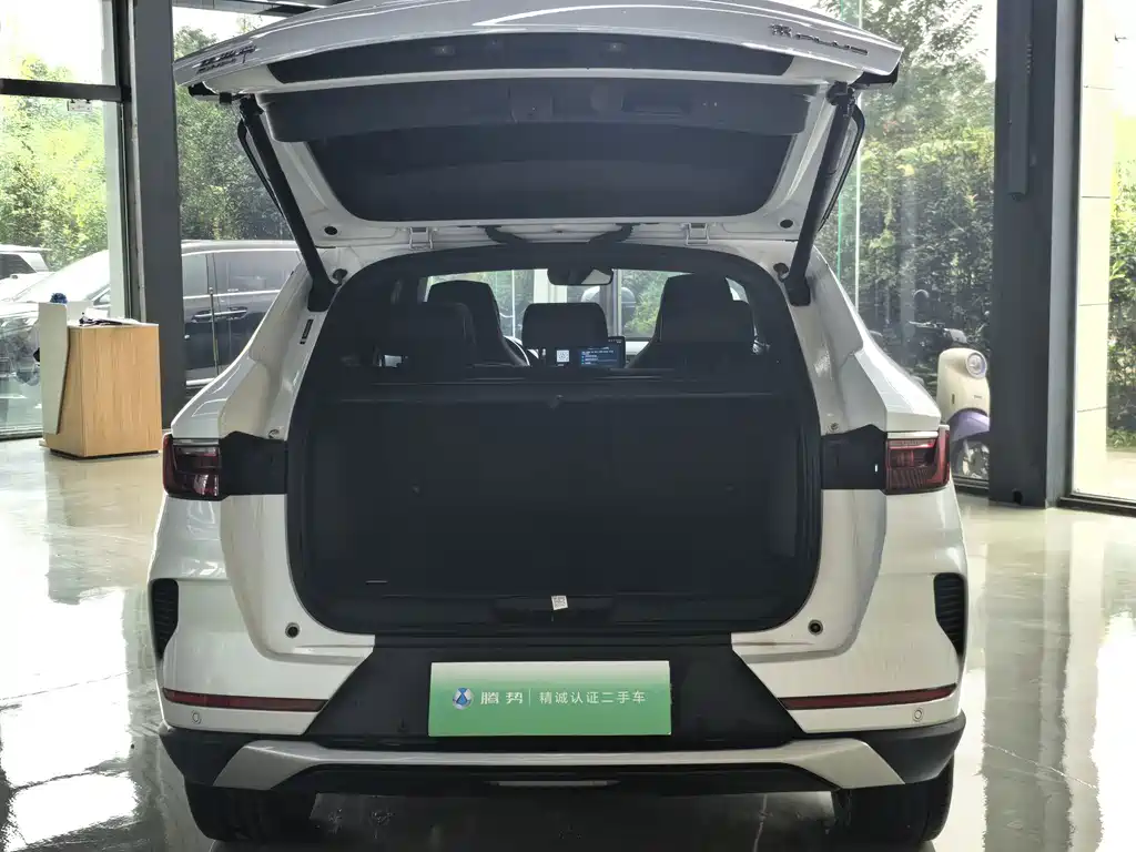 BYD PLUS New Energy — фото 13