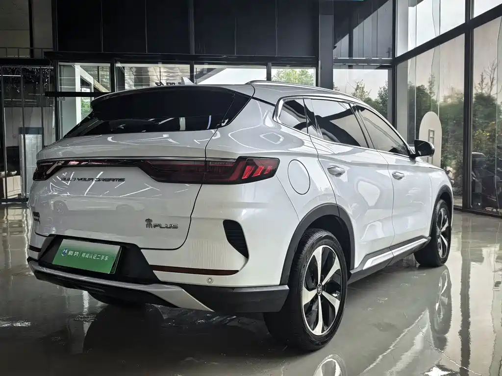 BYD PLUS New Energy — фото 15