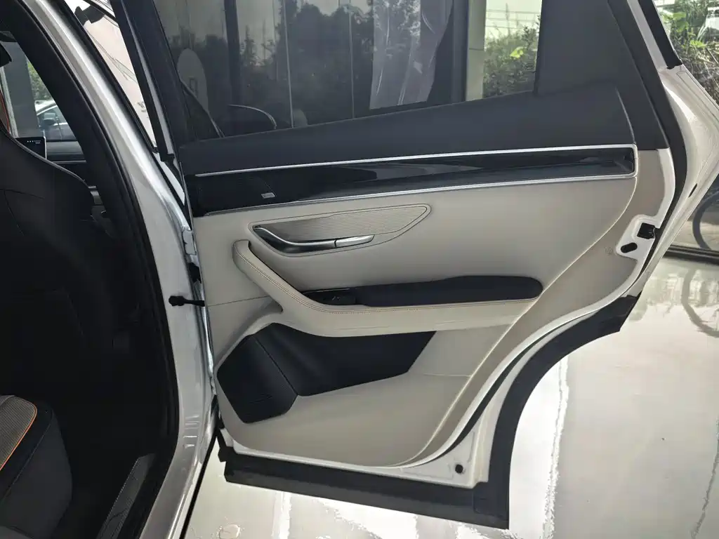 BYD PLUS New Energy — фото 18