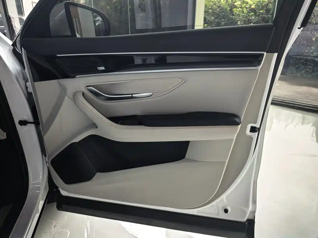 BYD PLUS New Energy — фото 19