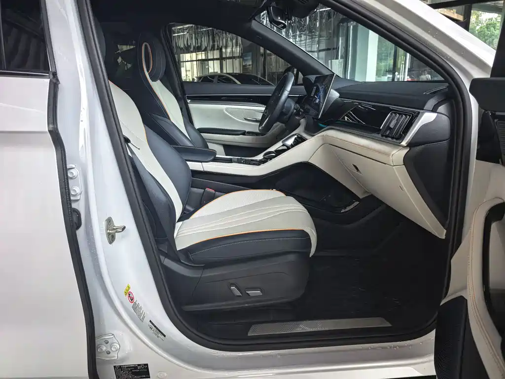 BYD PLUS New Energy — фото 20