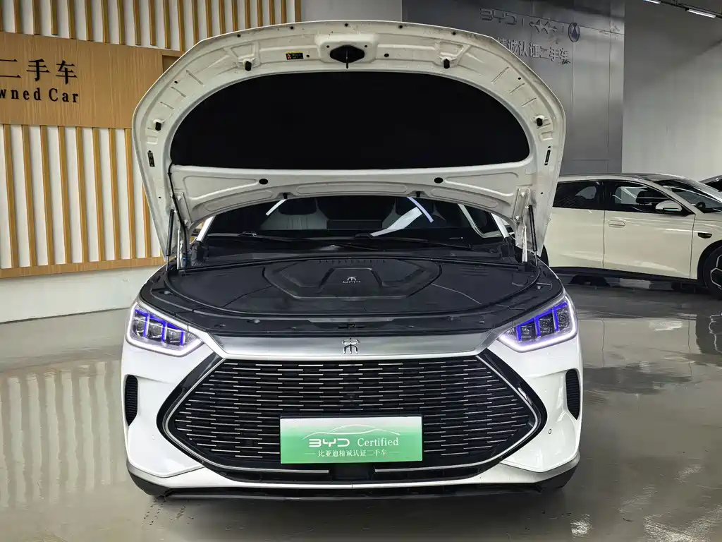 BYD PLUS New Energy — фото 22