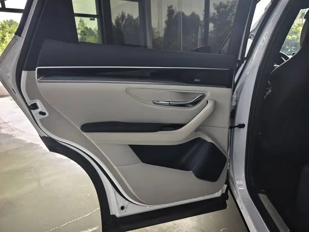 BYD PLUS New Energy — фото 10