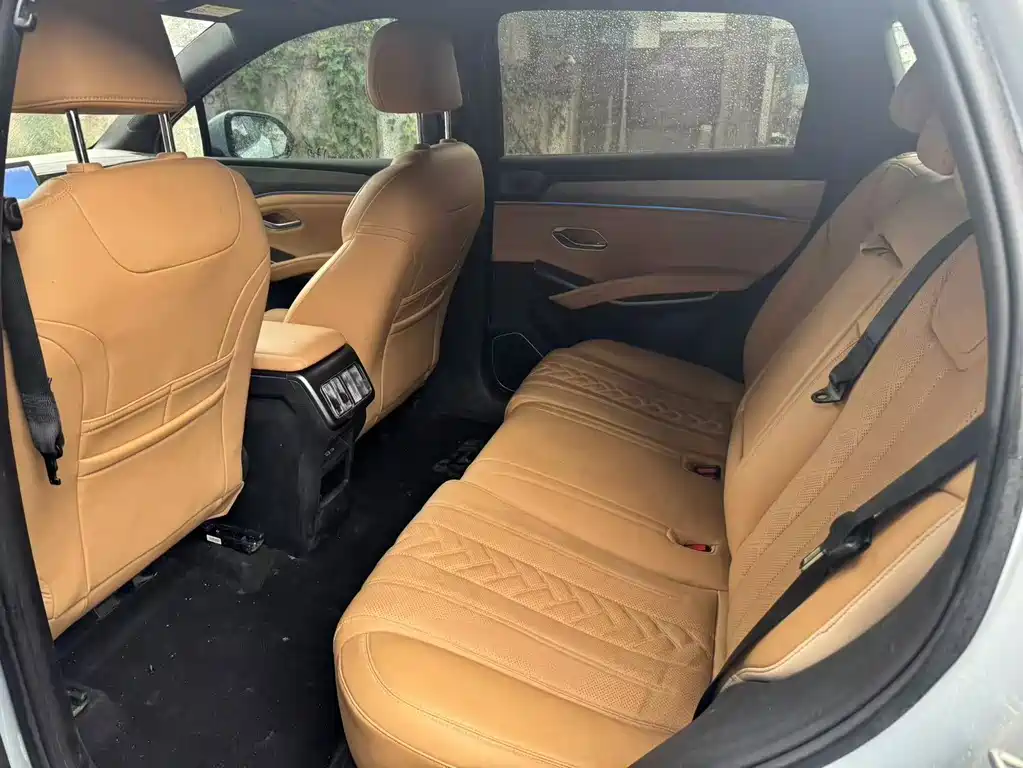 BYD L DM-i — фото 4