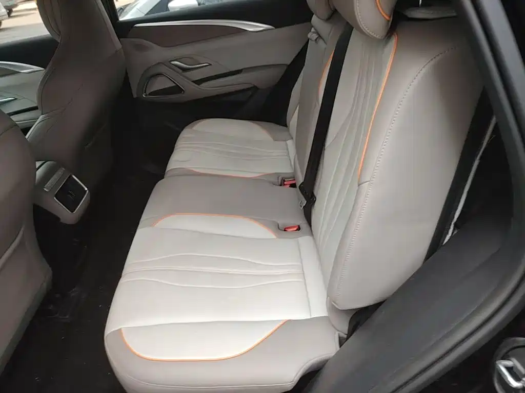 BYD Pro New Energy — фото 17