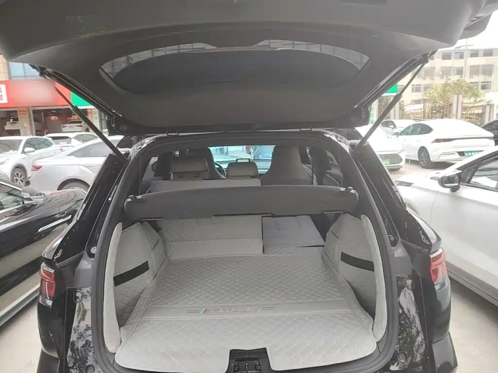 BYD Pro New Energy — фото 19