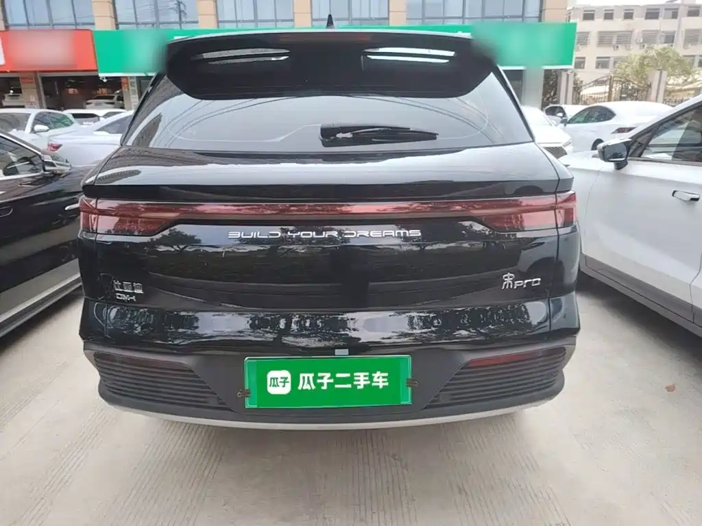 BYD Pro New Energy — фото 6