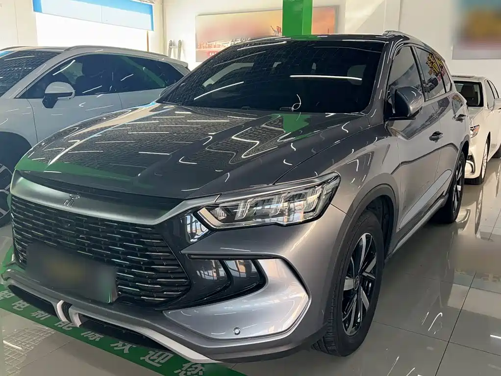 BYD Pro New Energy — фото 2