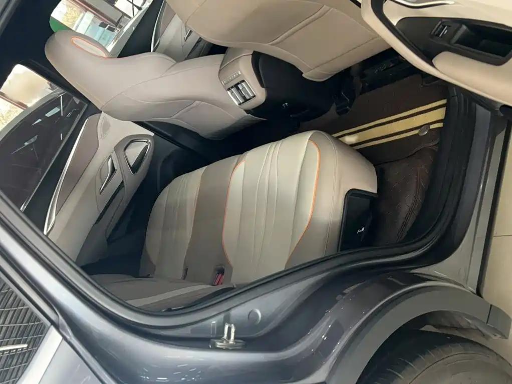 BYD Pro New Energy — фото 17