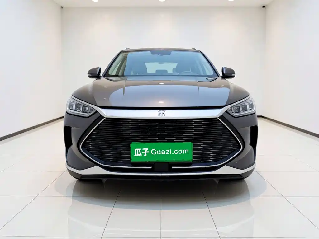 BYD PLUS New Energy — фото 2