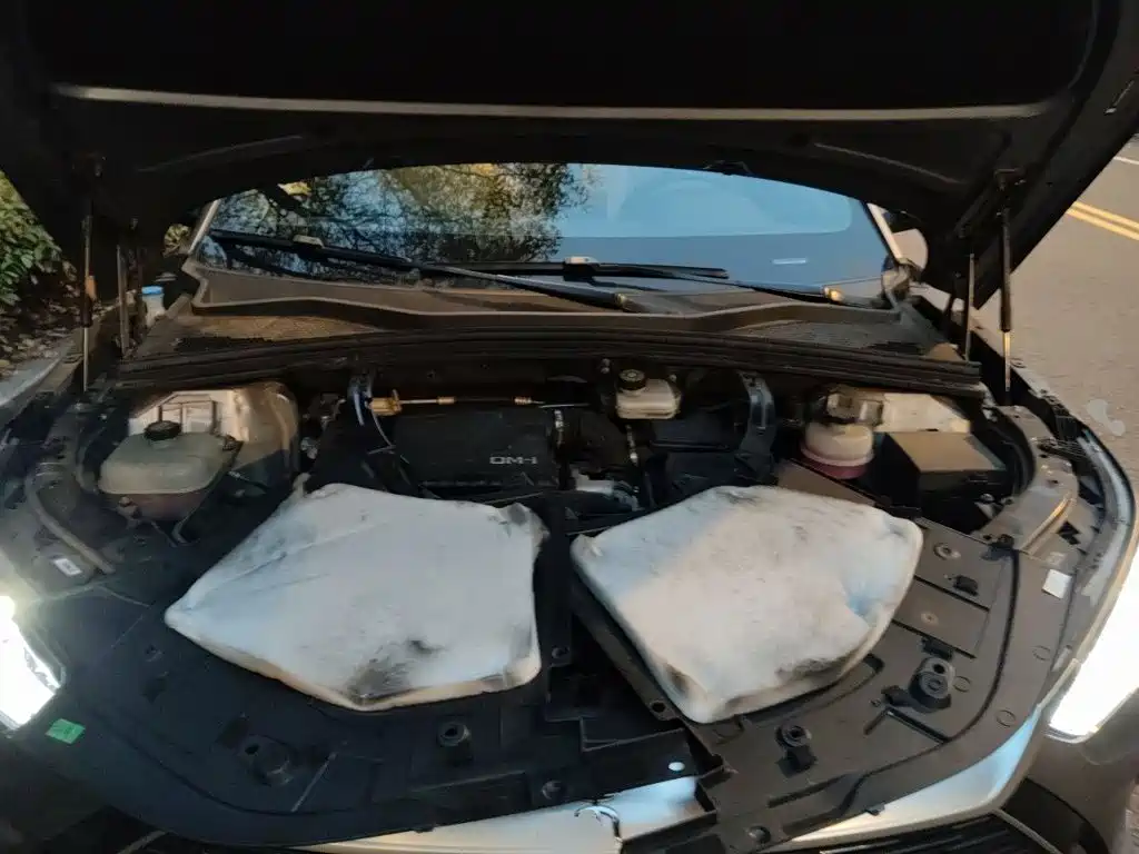 BYD PLUS New Energy — фото 21