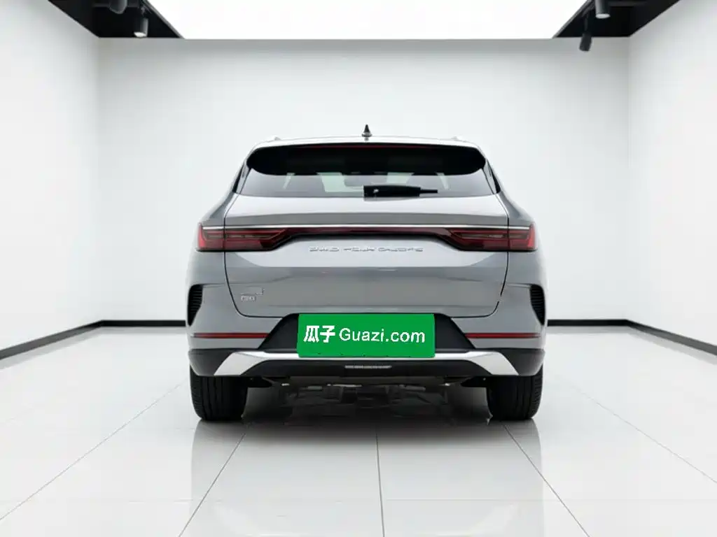 BYD PLUS New Energy — фото 5
