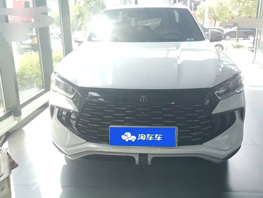 BYD Pro New Energy — фото 2
