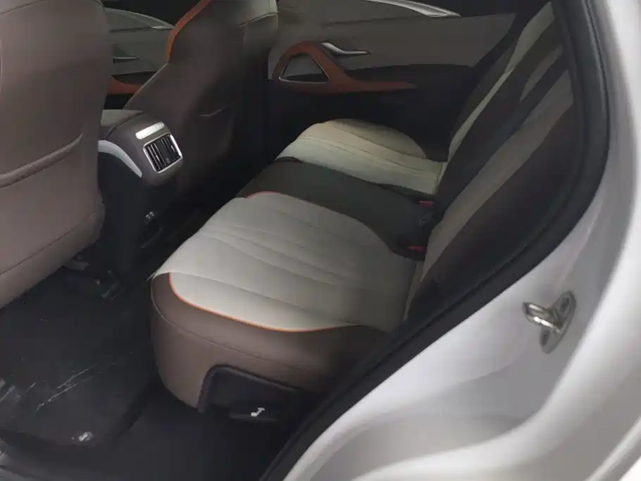 BYD Pro New Energy — фото 11