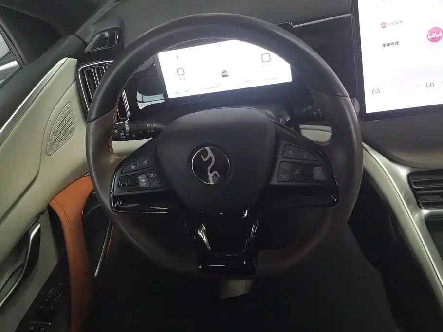 BYD Pro New Energy — фото 15