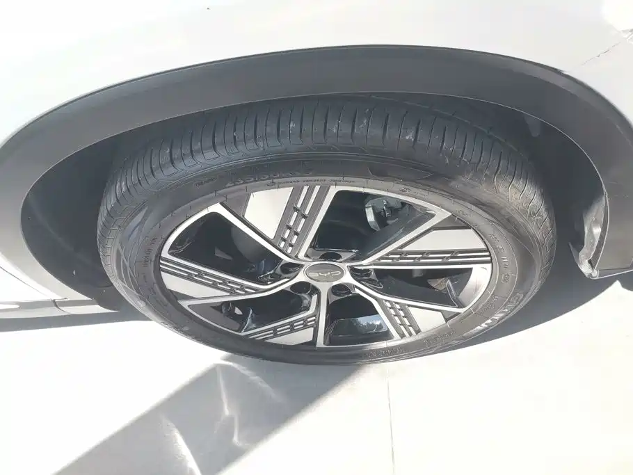 BYD Pro New Energy — фото 6