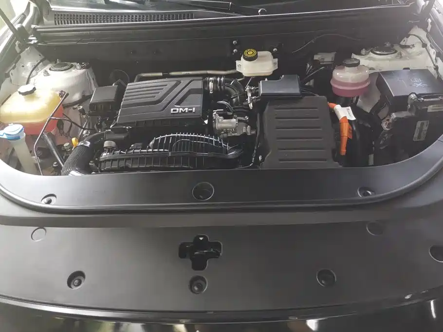 BYD Pro New Energy — фото 10