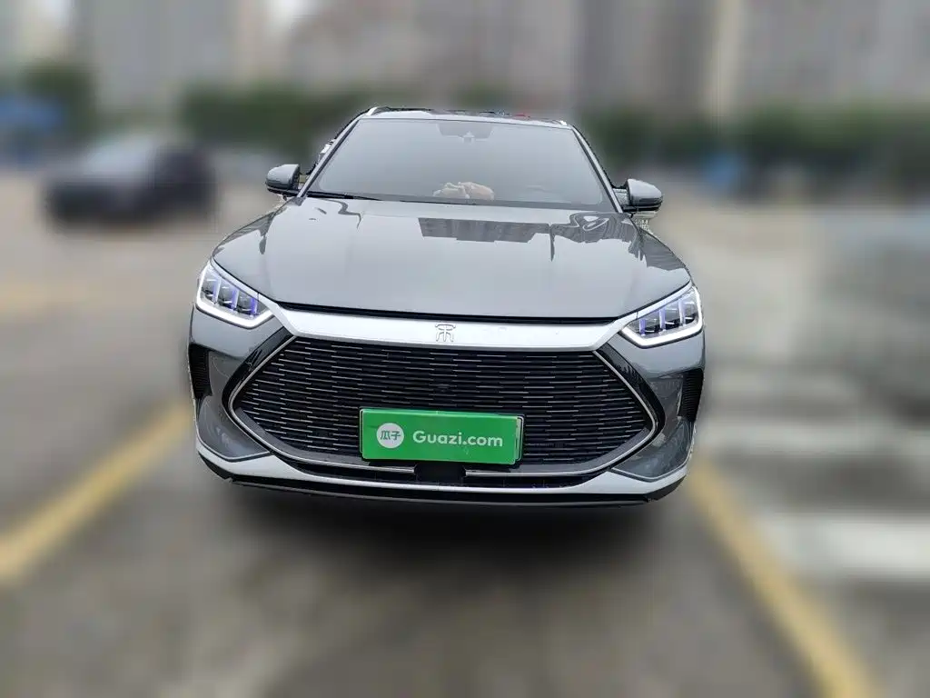 BYD PLUS New Energy — фото 24
