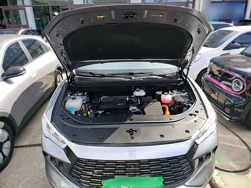BYD Pro New Energy — фото 20