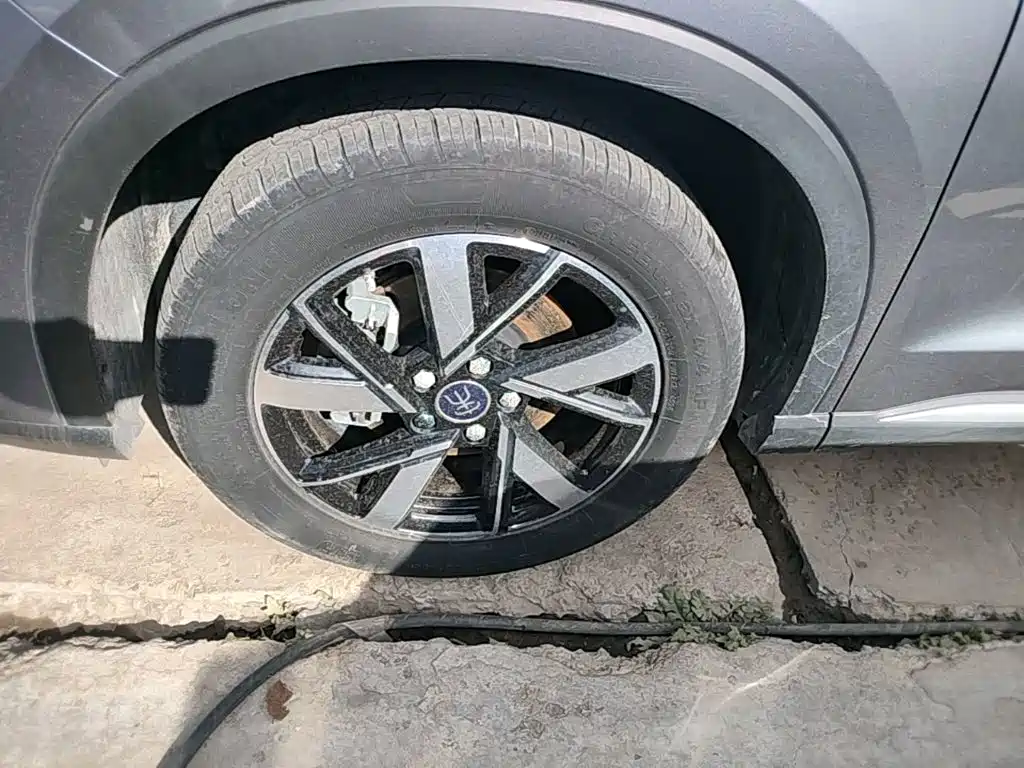 BYD Pro New Energy — фото 23