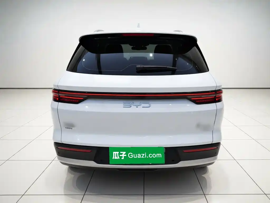 BYD Pro New Energy — фото 3