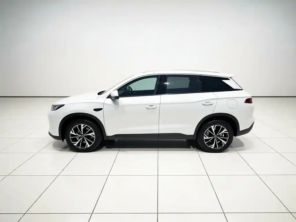 BYD Pro New Energy — фото 25