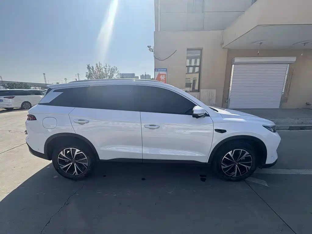 BYD Pro New Energy — фото 26