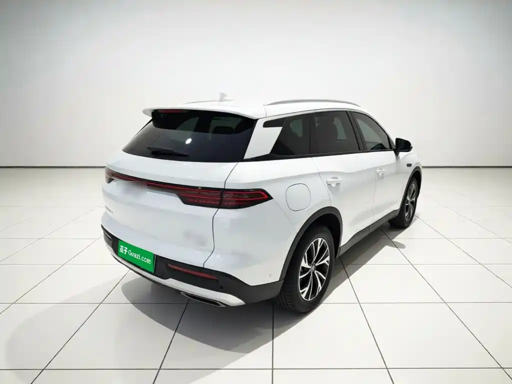 BYD Pro New Energy — фото 4