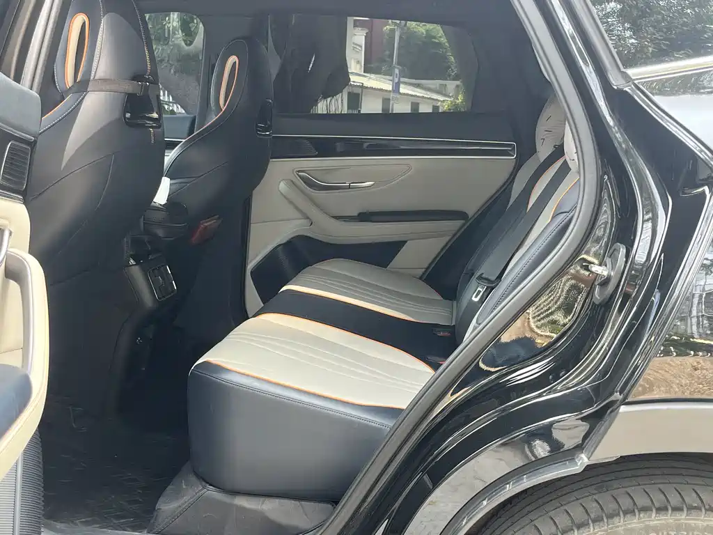 BYD PLUS New Energy — фото 6