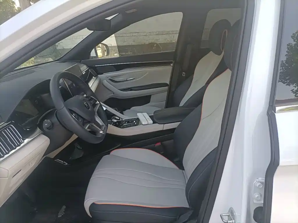 BYD PLUS New Energy — фото 15