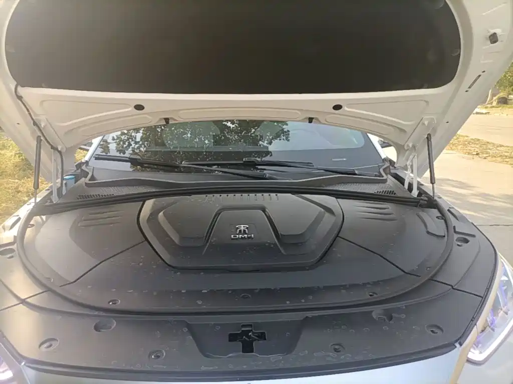 BYD PLUS New Energy — фото 20