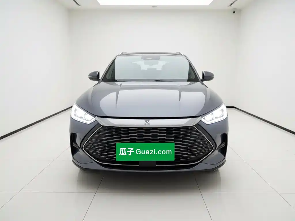 BYD PLUS New Energy — фото 2