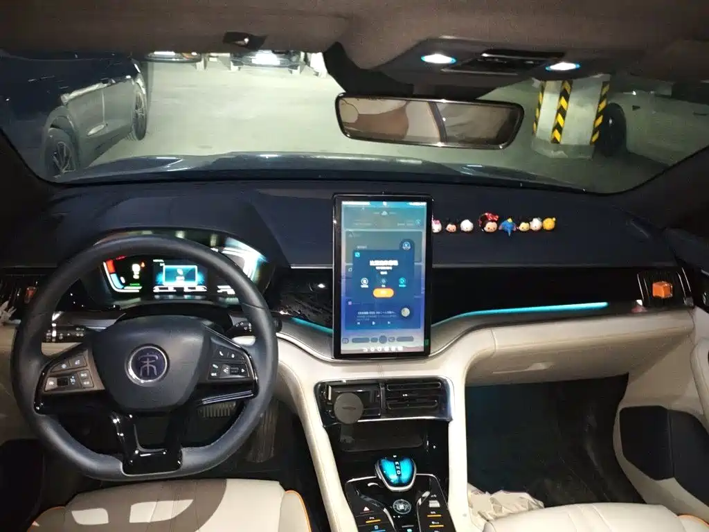 BYD PLUS New Energy — фото 10