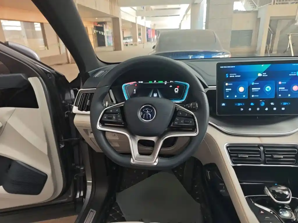 BYD PLUS New Energy — фото 11