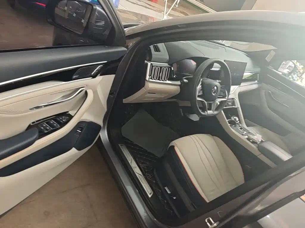 BYD PLUS New Energy — фото 16