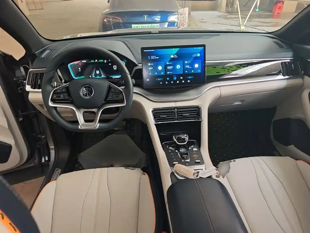 BYD PLUS New Energy — фото 10